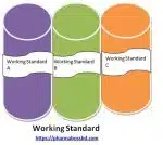 What is Working Standard?