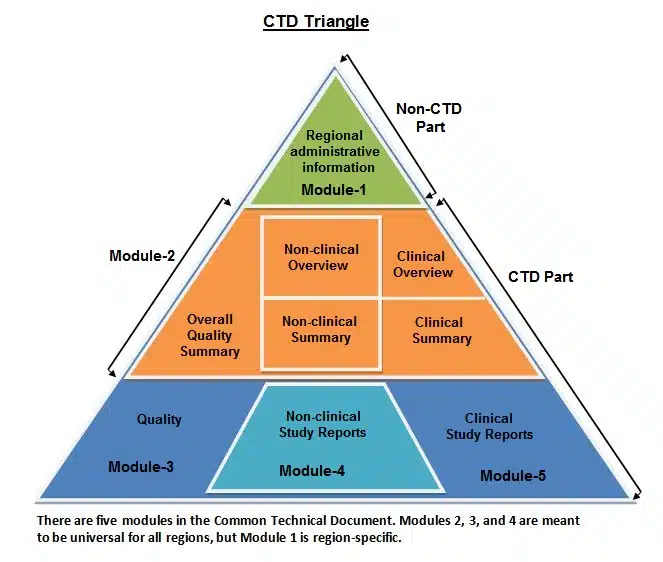 Common technical document 