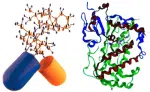 Computer-Aided Drug Design (CADD)